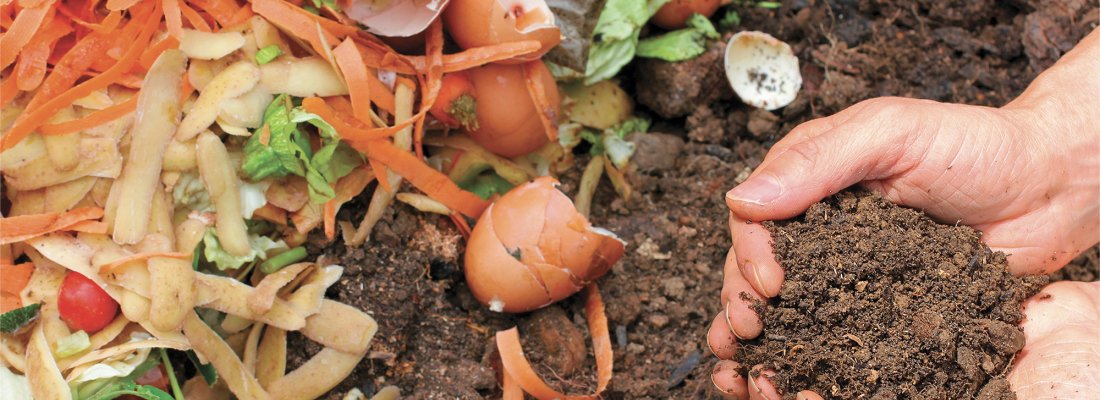Distribution de compost